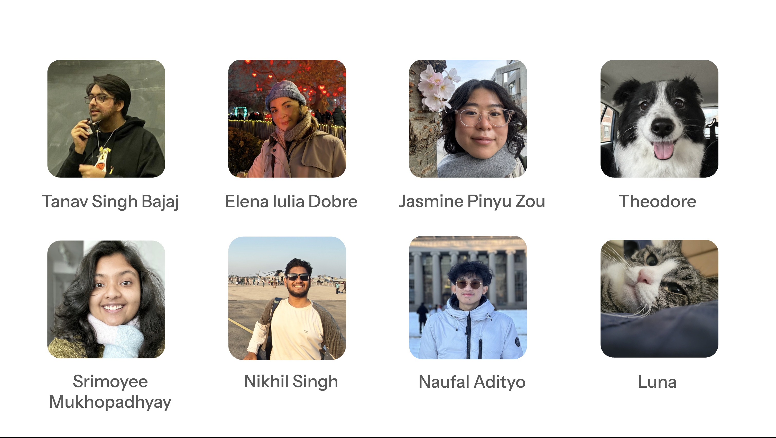 Portrait grid of Expedition Aya Team 24, including Tanav Singh Bajaj, Elena Iulia Dobre, Jasmine Pinyu Zou, Theodore, Srimoyee Mukhopadhyay, Nikhil Singh, Naufal Adityo, and Luna.
